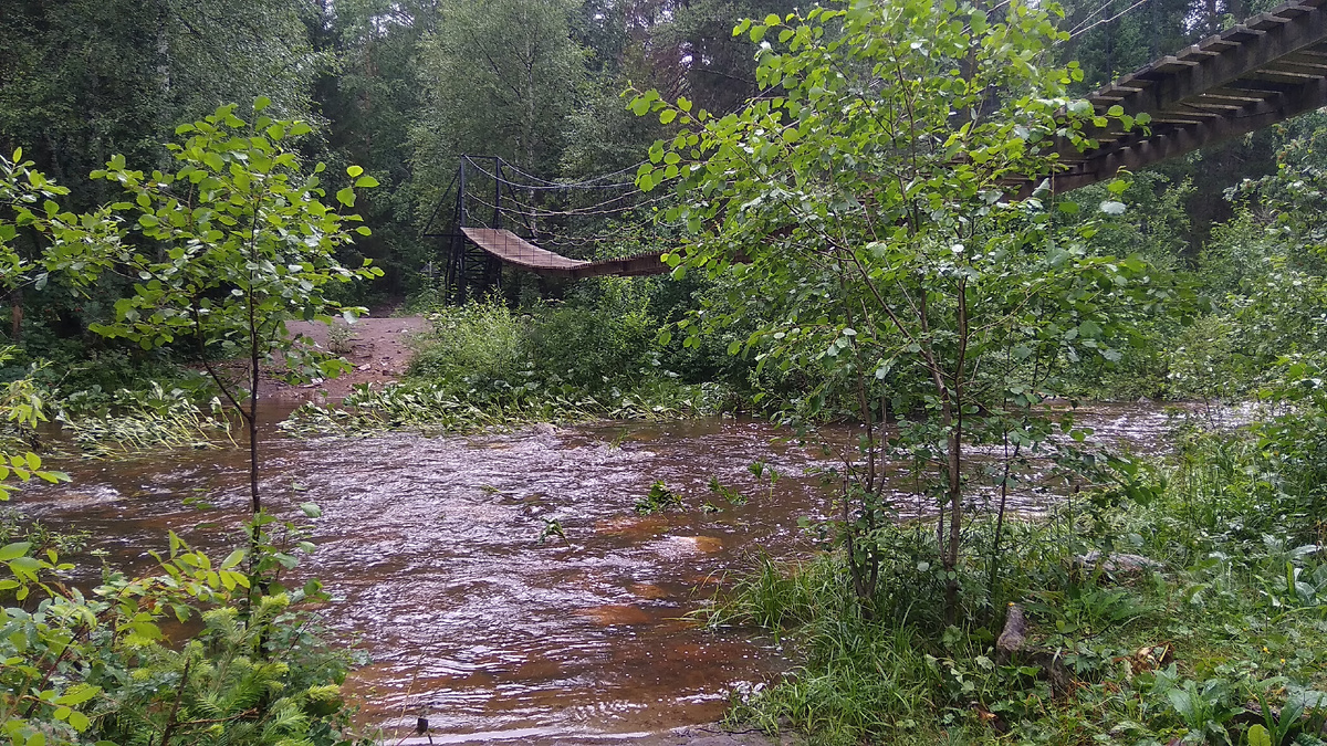 Горбатый мост