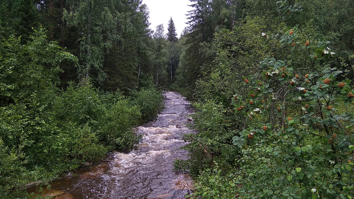 река Тесьма под мостом