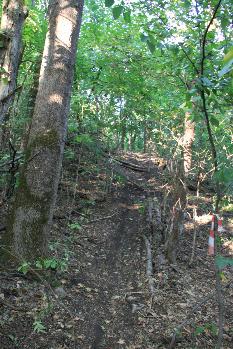 И тропинки с большими уклонами, но их можно обойти прямее