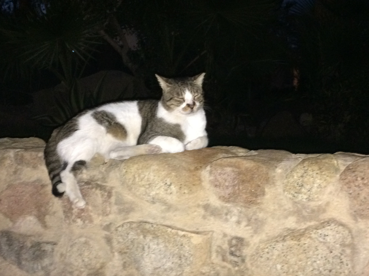 Медититация под звуки морского прибоя