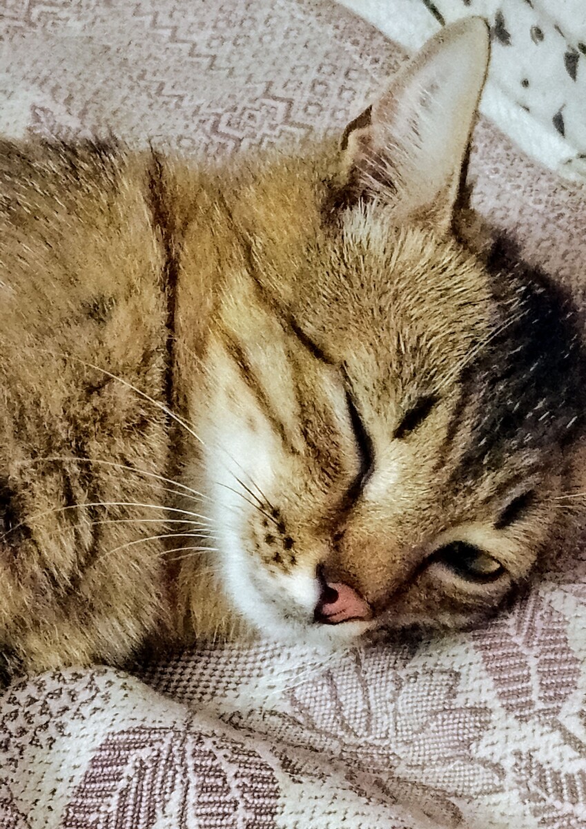 Хитрец мой котик!😁