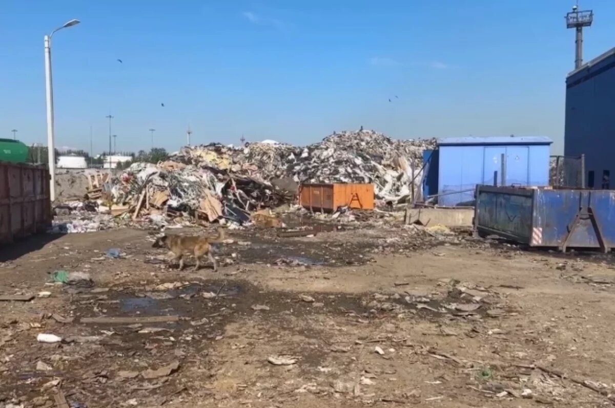    Экологические службы собрали более 14,4 тонн опасных отходов в Петербурге