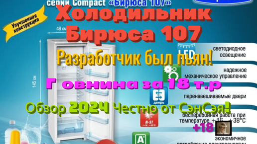 Холодильник Бирюса 107! Разработчик был пьян? Говнина за 18 000 рублей! Обзор 2024 Честно от СэнСэя!