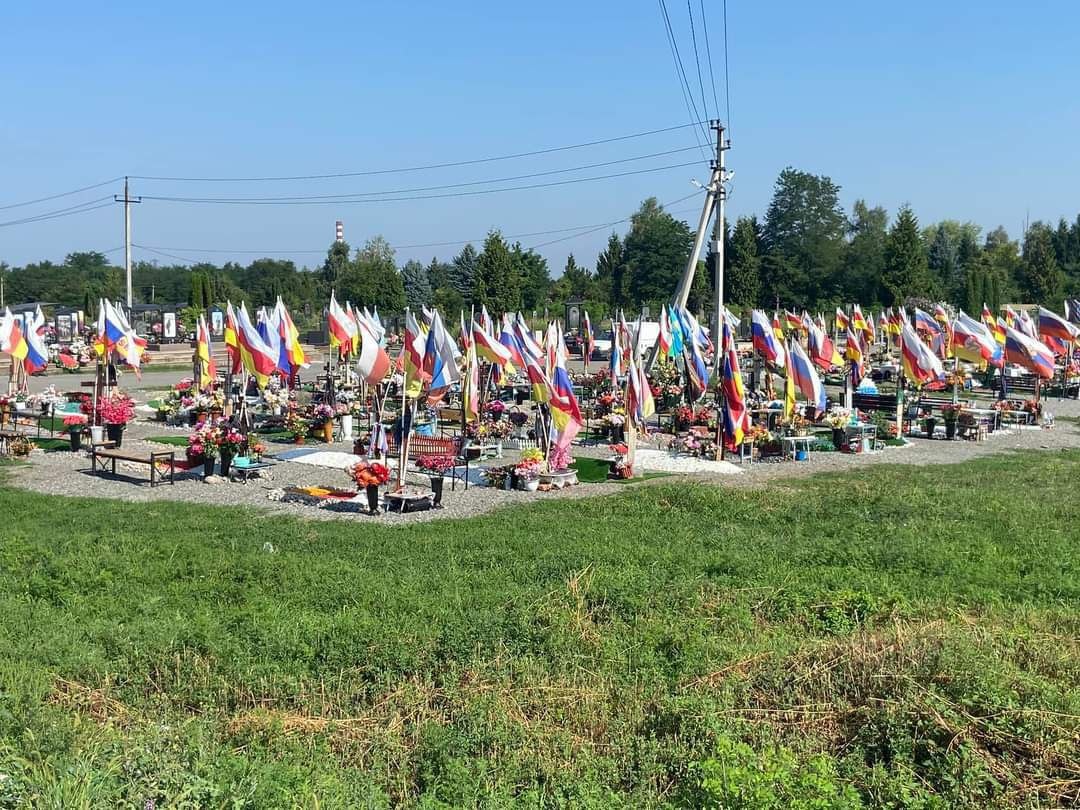 Фото: @alaniatoday