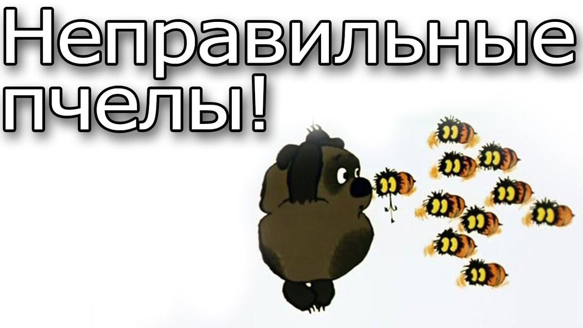 Увеличение члена (пениса) укусами пчел