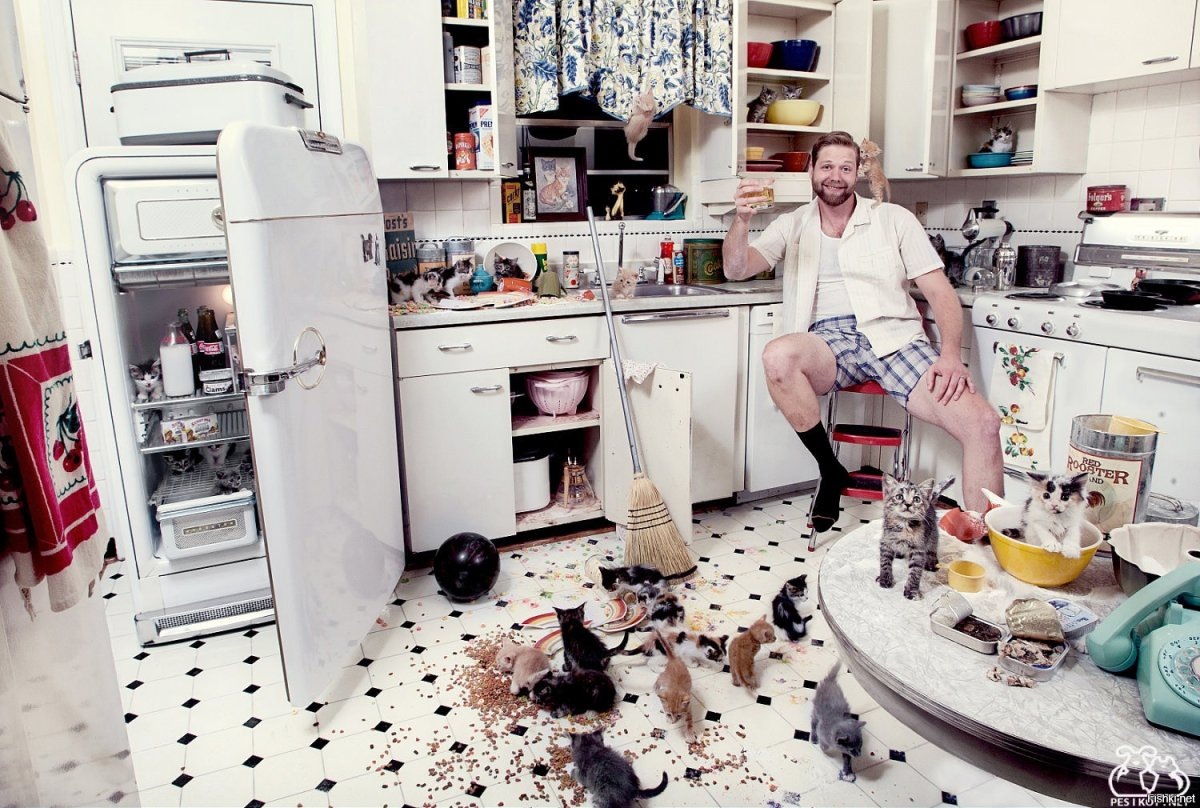 Из открытых источников.