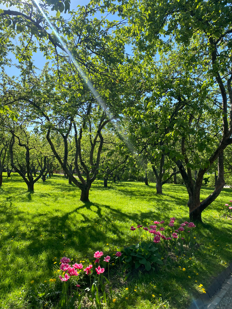 На территории музея-заповедника Коломенское. В рамках музейной недели здесь можно посетить: Дворец Алексея Михайловича и выставки, проходящие в зале "Атриум" и в других зданиях музейного комплекса.