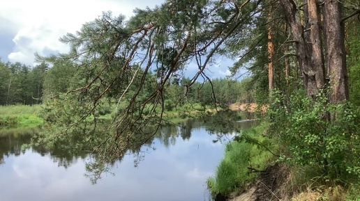 Кемпинг на реке с палаткой. На природе с детьми. Большое летнее путешествие. #life #nature #кемпинг