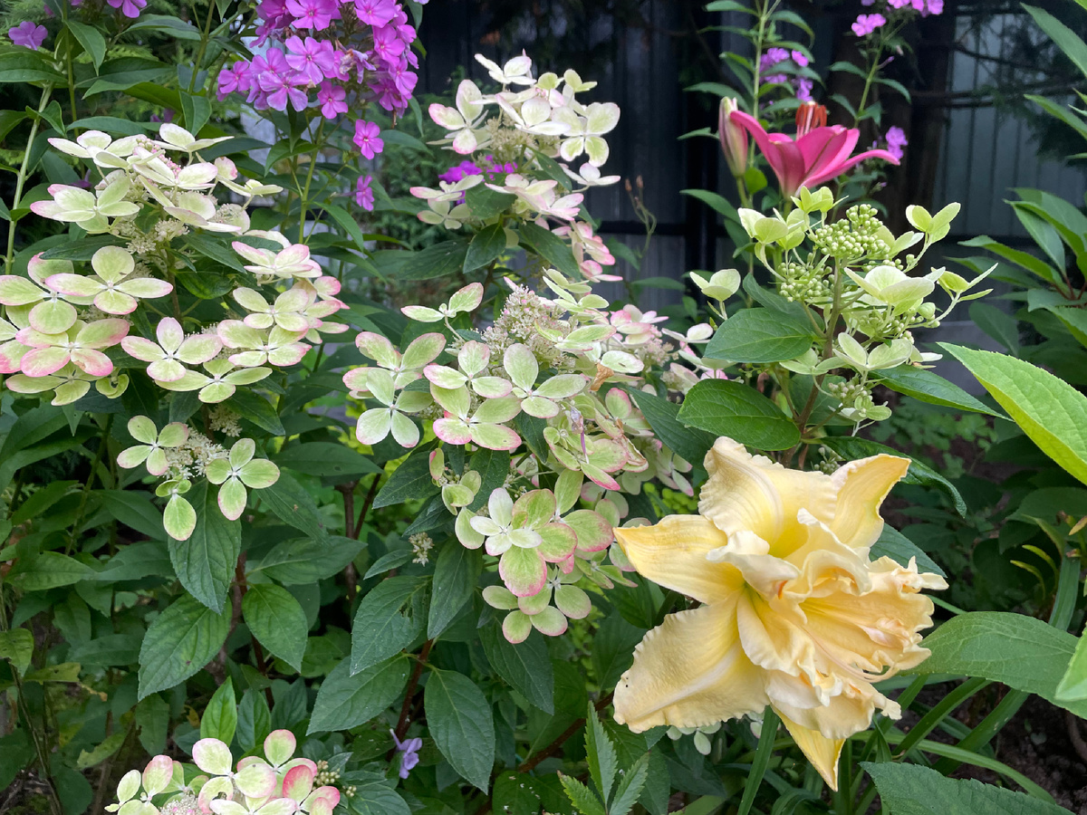 Пастель Грин