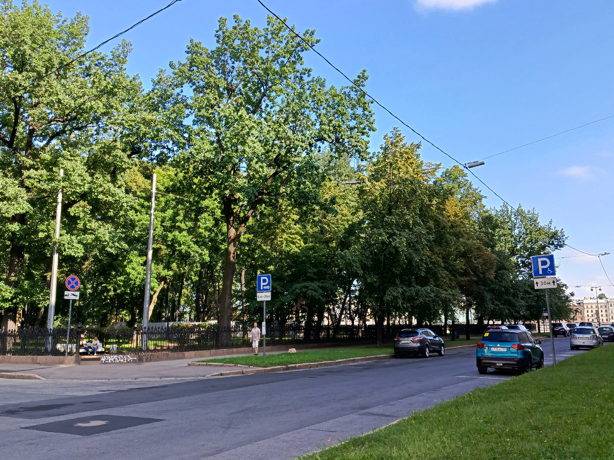 Румянцевский сад. Начало 2 линии.