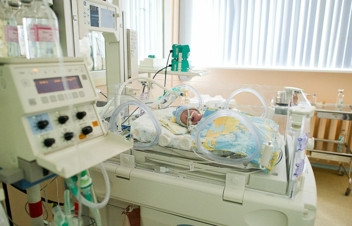 Яндекс картинки