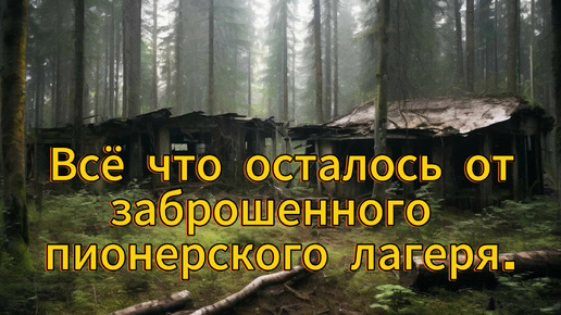 Пионерский лагерь полностью поглощён лесом. Это все. Ничего не осталось.