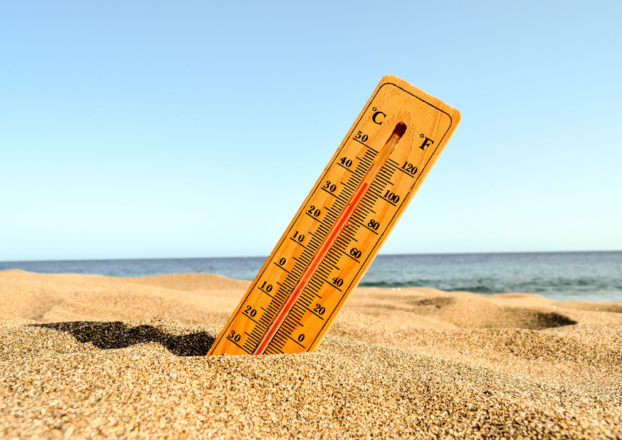 Источник: https://stolicaonego.ru