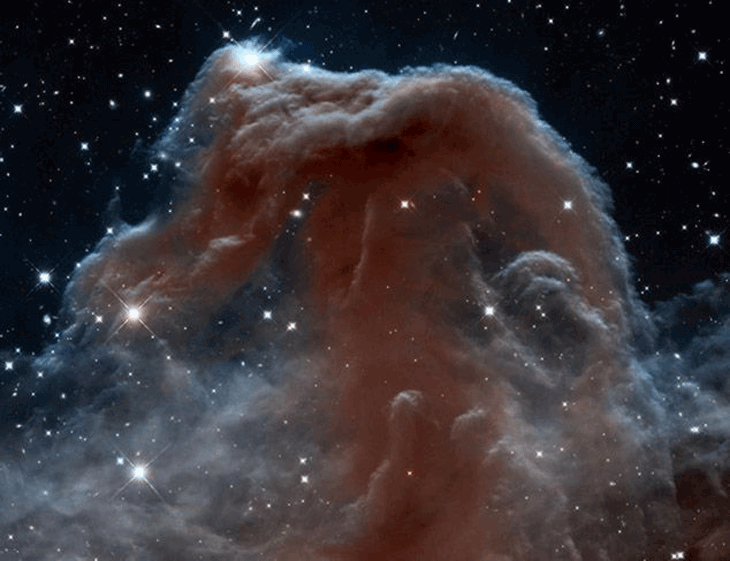 Фотография туманности в инфракрасном диапазоне получена космическим телескопом Хаббл в 2013-м году. 
