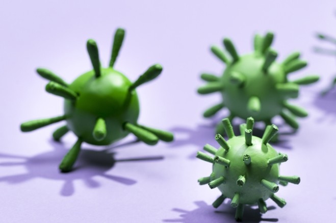 Фото: ru.freepik.com 