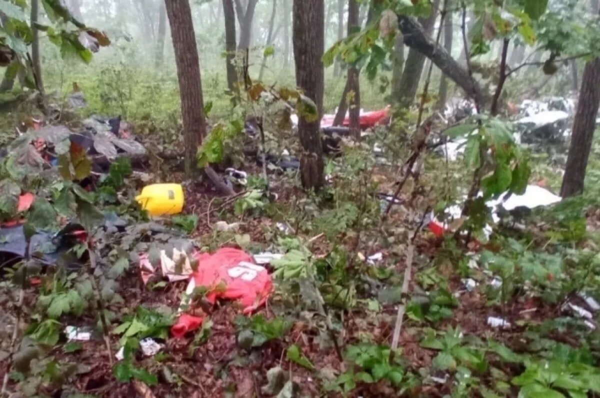    Появилось видео с места крушения самолета омских туристов в Приморье