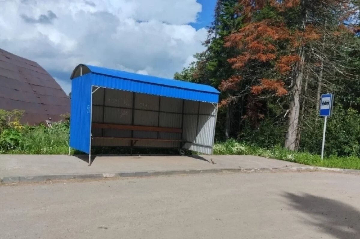    Остановка в деревне Дикая Гарь есть, а автобуса нет