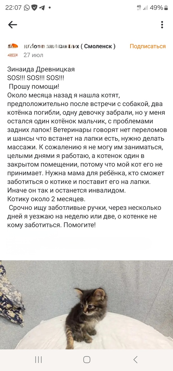 Фото автора. Вот такое сообщение встретила в интернете.