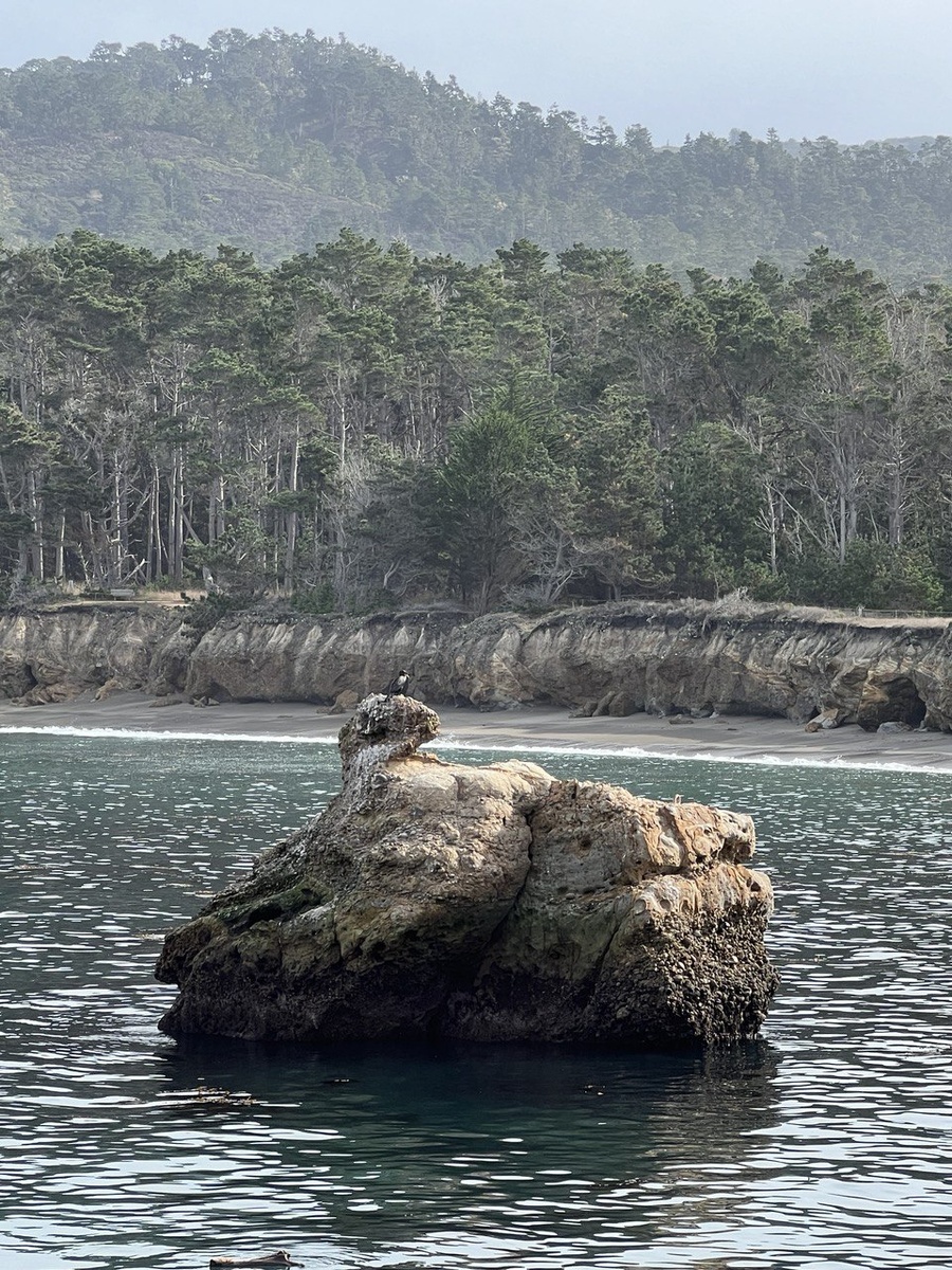 Люблю это место для медитаций, правда, бываю здесь редко