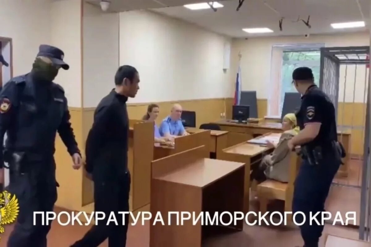    Мигрант-нелегал попал в СИЗО Владивостока по делу о попытке изнасилования