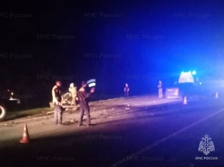     Фото: МЧС по Калужской области