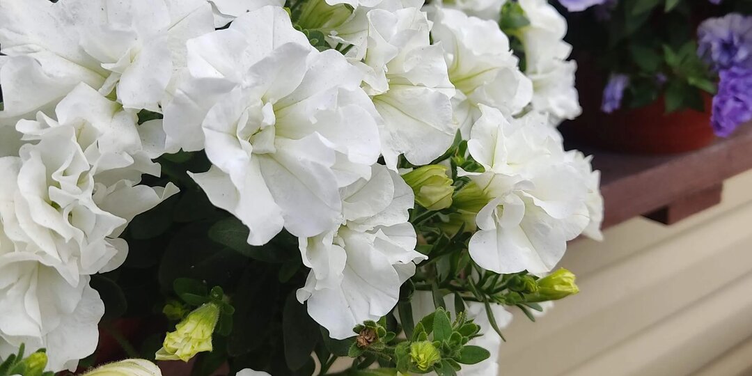 Пора готовиться...