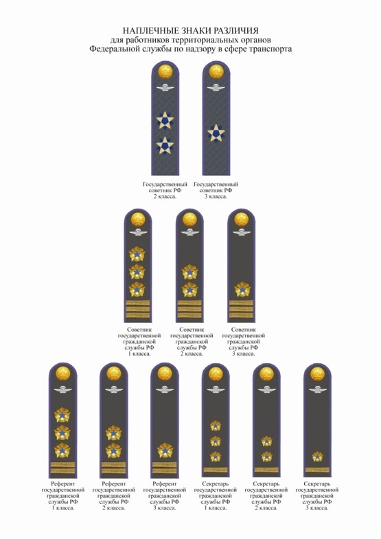 Погоны украинской полиции. Звания в полиции по порядку 2024. Старший прапорщик полиции погоны. Младший прапорщик погоны полиции. Звания в полиции по порядку 2024.