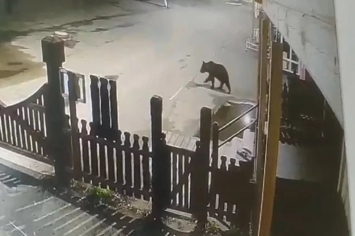    За наглость.