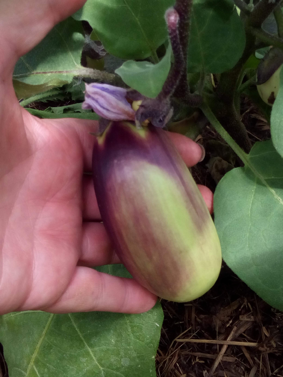 Начало хорошее...