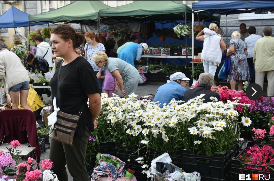 Источник: Дмитрий Емельянов / E1.RU