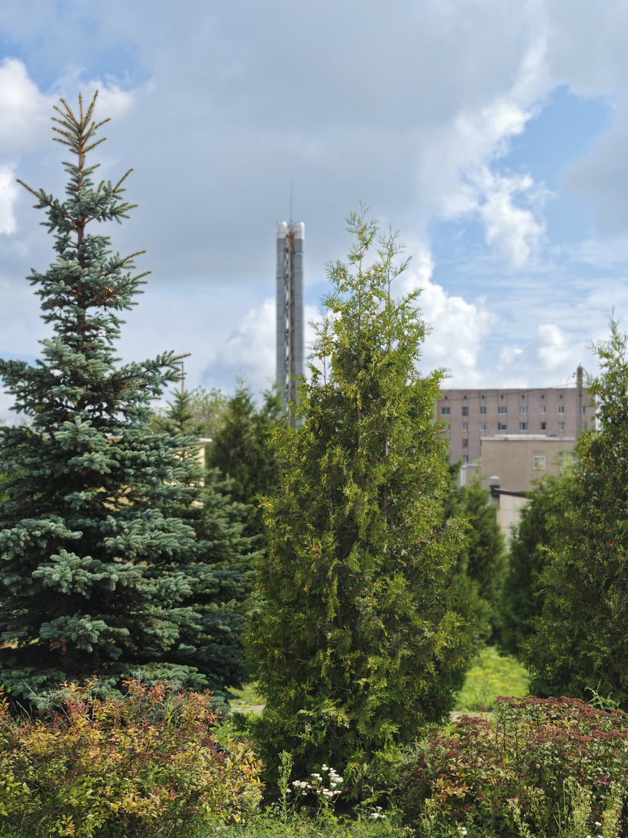 Территория больницы