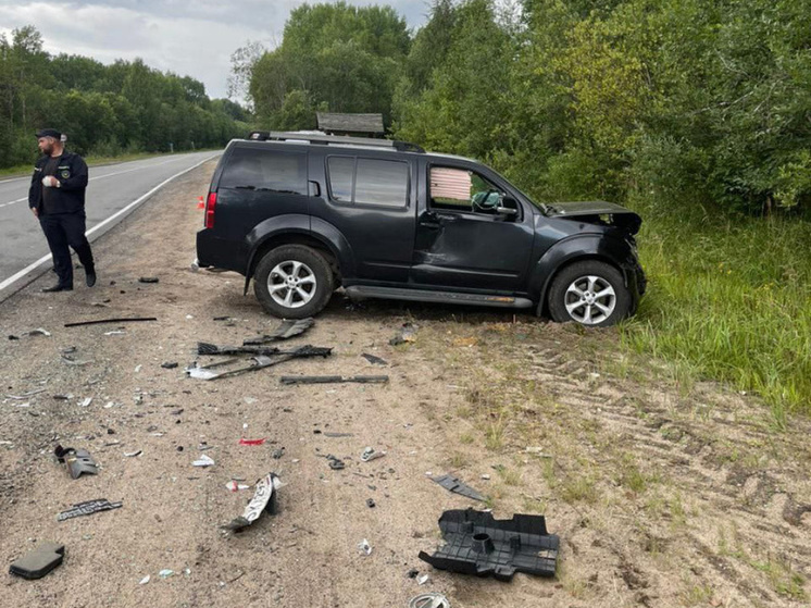     За полгода в стране произошло более 50 тысяч аварий. Фото: t.me/spb_police78