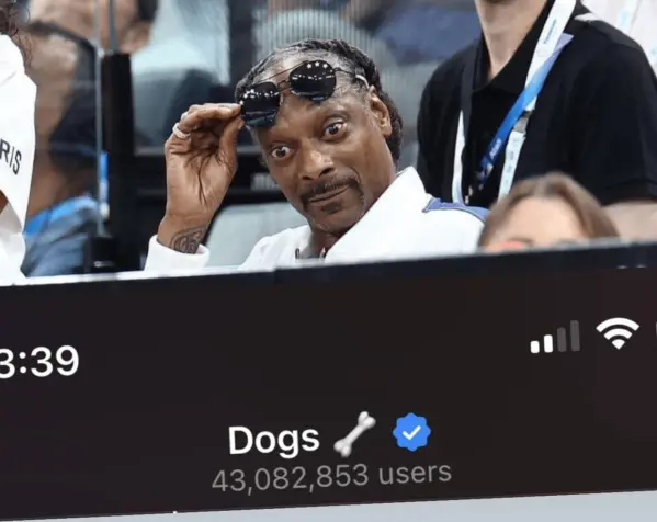 Новая тапалка DOGS собака от Павла Дурова в Телеграм. Бесплатная раздача криптовалюты