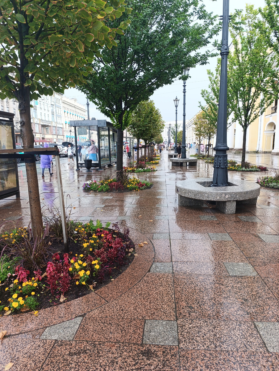 Все фото автора. Невский проспект. 