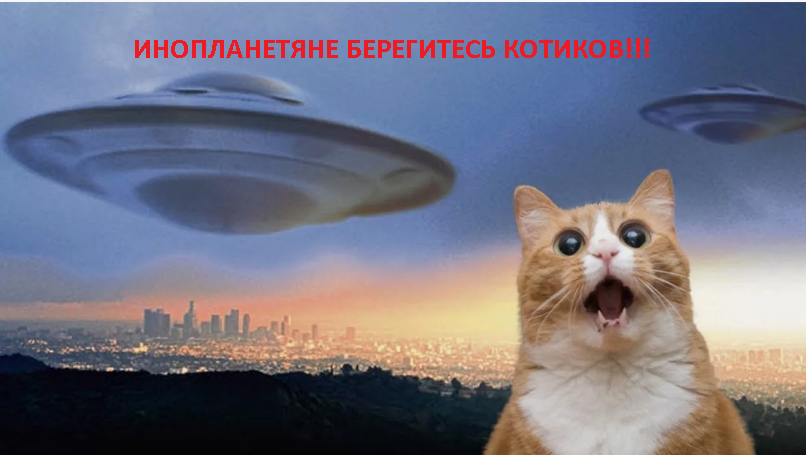 Котик поработитель!!!