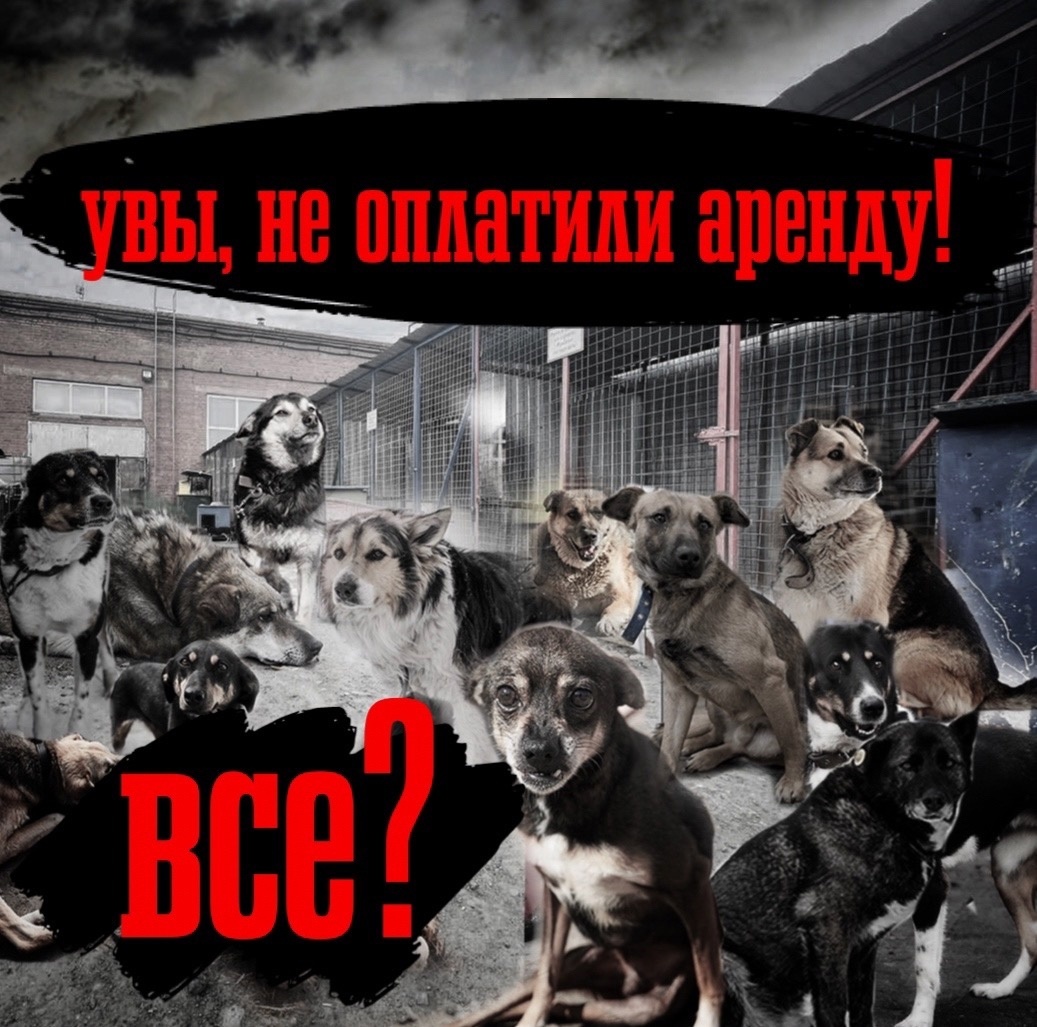 НЕ ХВАТАЕТ около 40 000 рублей! Самый СРОЧНЫЙ сбор!