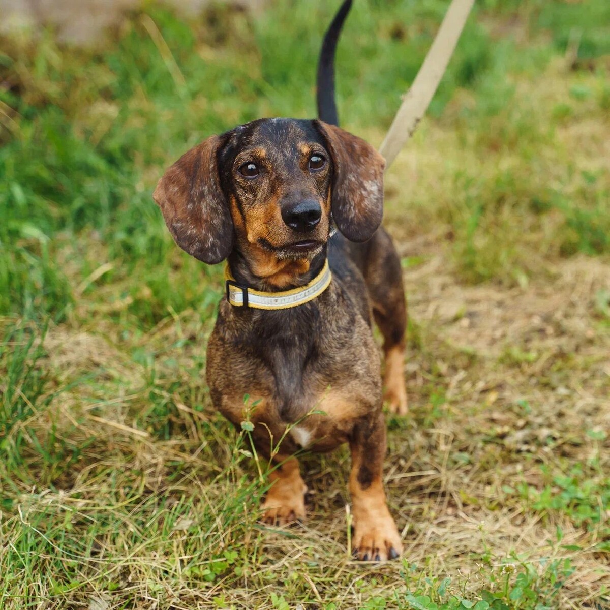 Их бросят в канаве возле здания