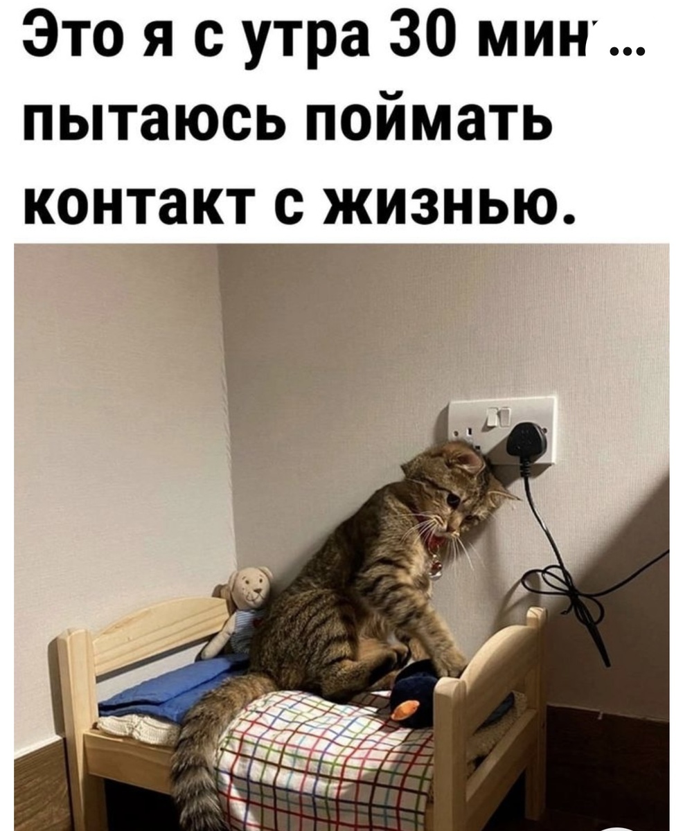Фото из интернета 
