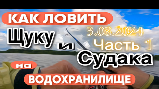 КАК Я ЛОВЛЮ СУДАКА и ЩУКУ на ВОДОХРАНИЛИЩЕ. ОБЗОР РЫБАЛКИ 3.08.2024