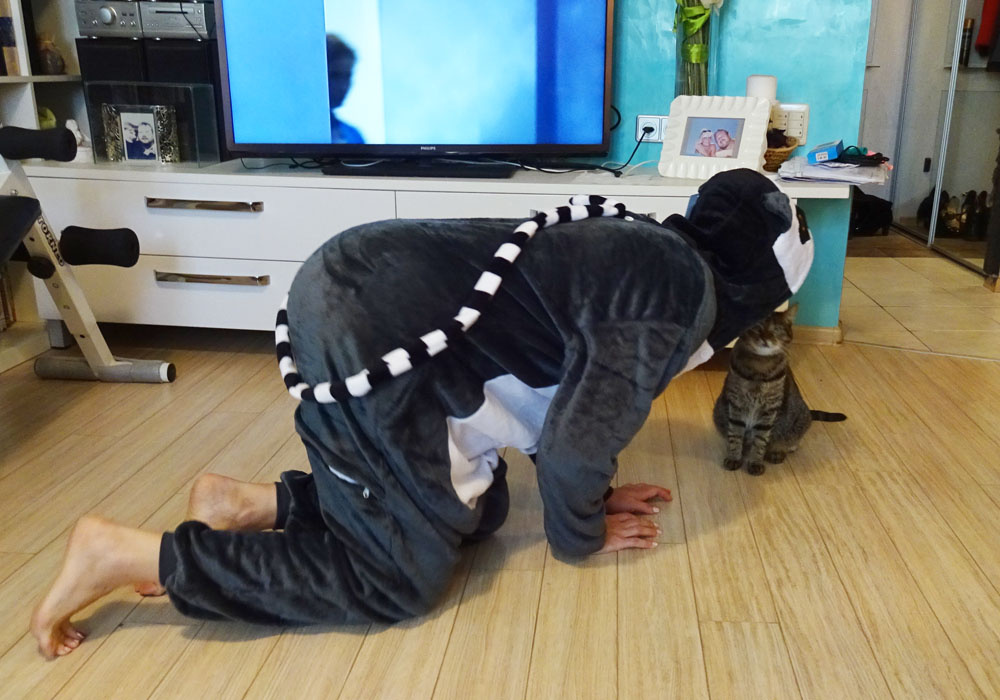 Она прекрасна как велосипед