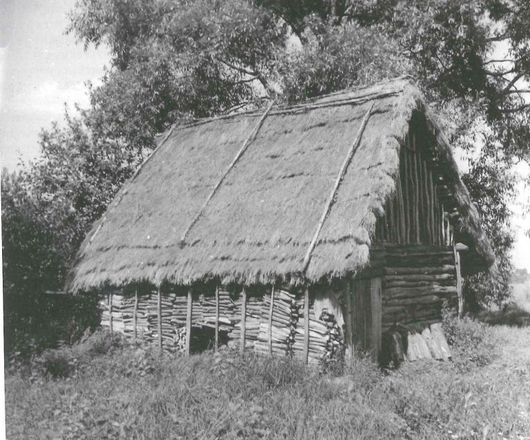 Тростниковая кровля русской избы. Фото из открытых источников.