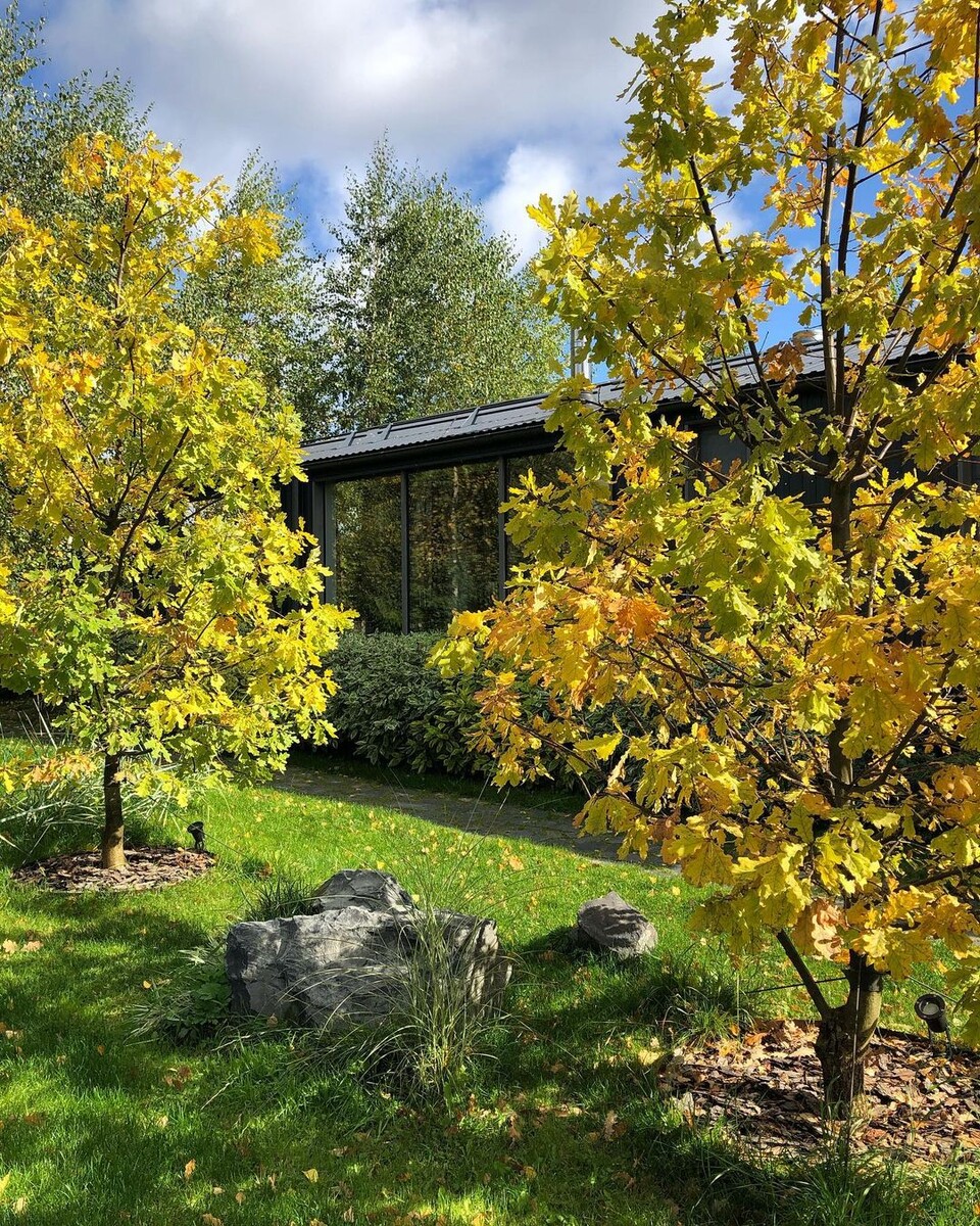 Сад Димы Логинова