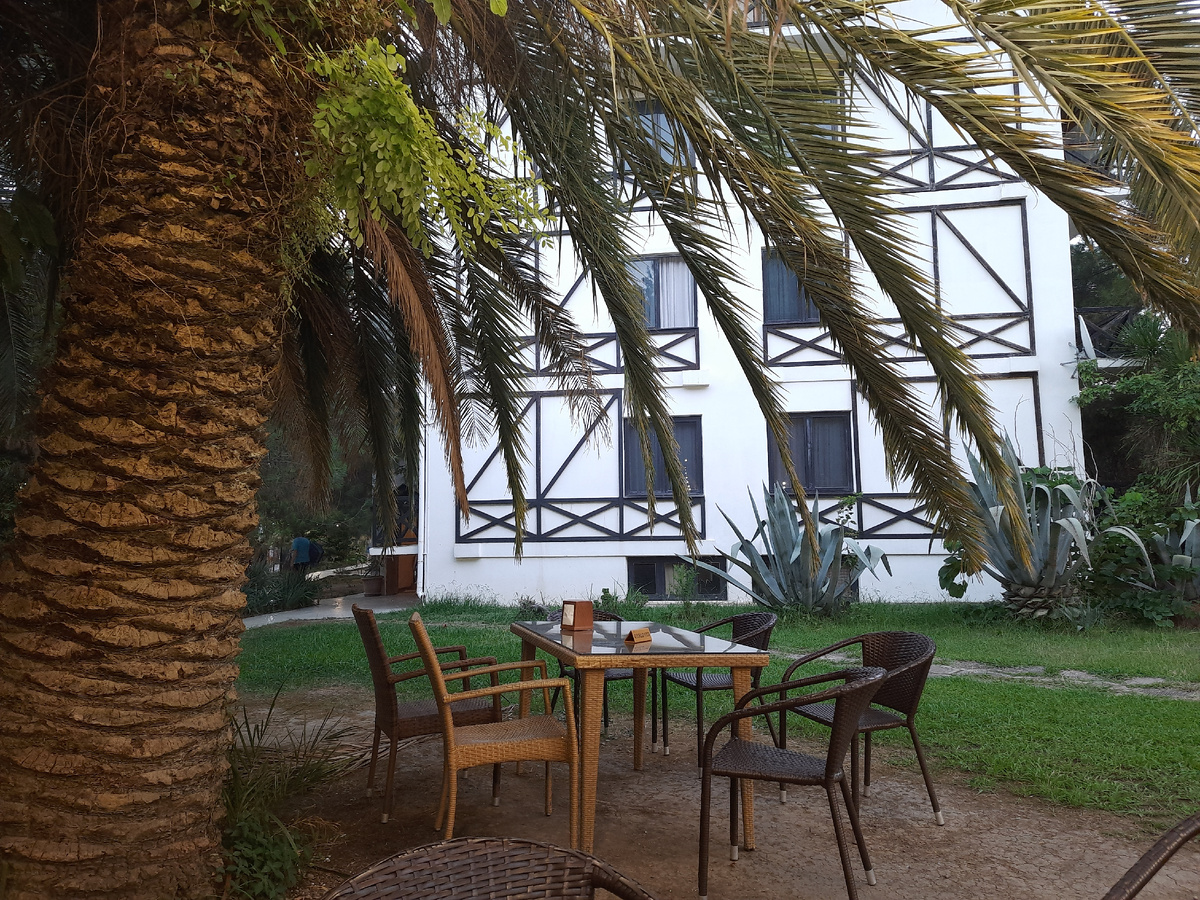 Кафе под пальмой Пицунде, Абхазия