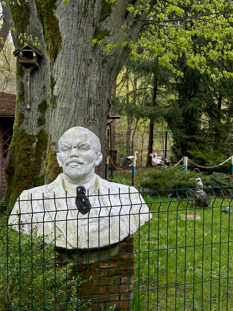 За решеткой, но в галстуке. Это не Украина, просто символичное фото: и Ленин, и аисты, и решетка. 