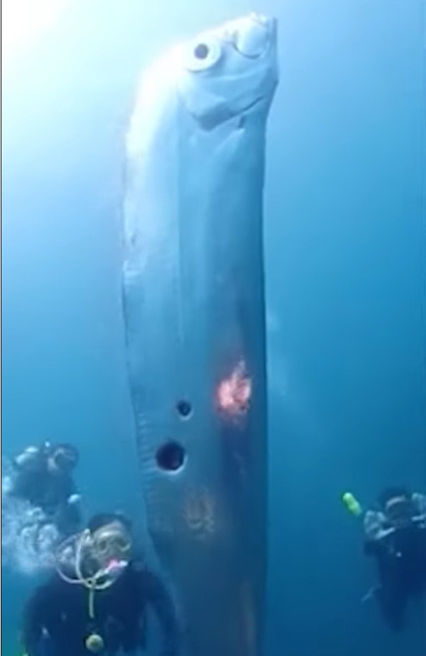 Кадр из видео, снятого у берегов Тайваня. https://www.youtube.com/watch?v=NUEv0Y1ZE3A