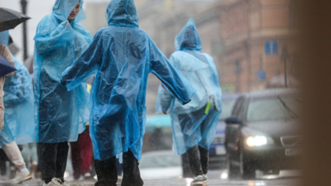    Фото: Алексей Белкин/Globallookpress.