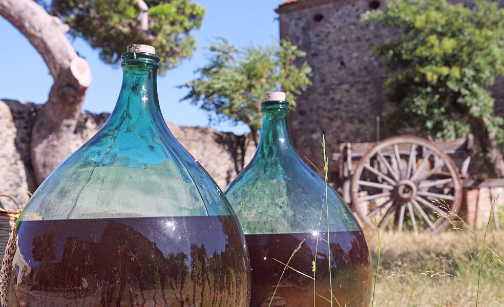 Биодинамические вина