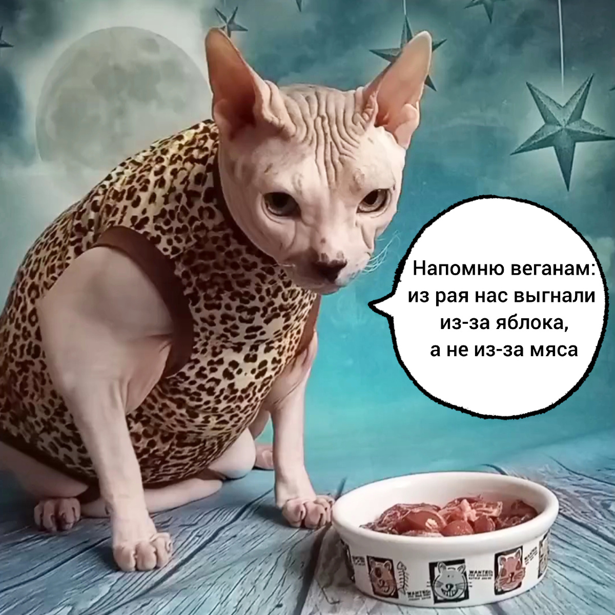 Без мяса хищникам нельзя!