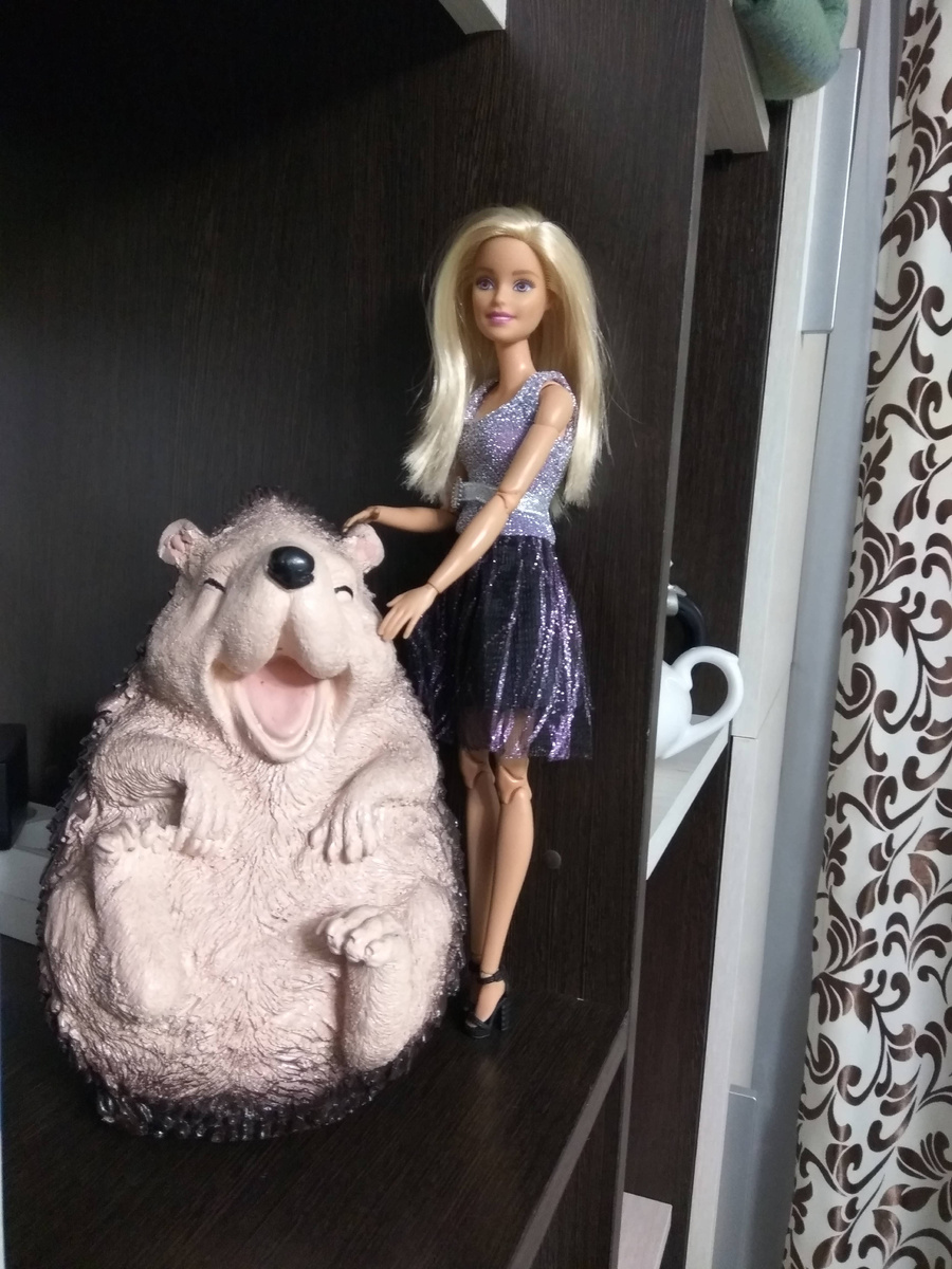 Жаклин и ее друг Ёжик (он же - нянька девчонок). Фото автора.