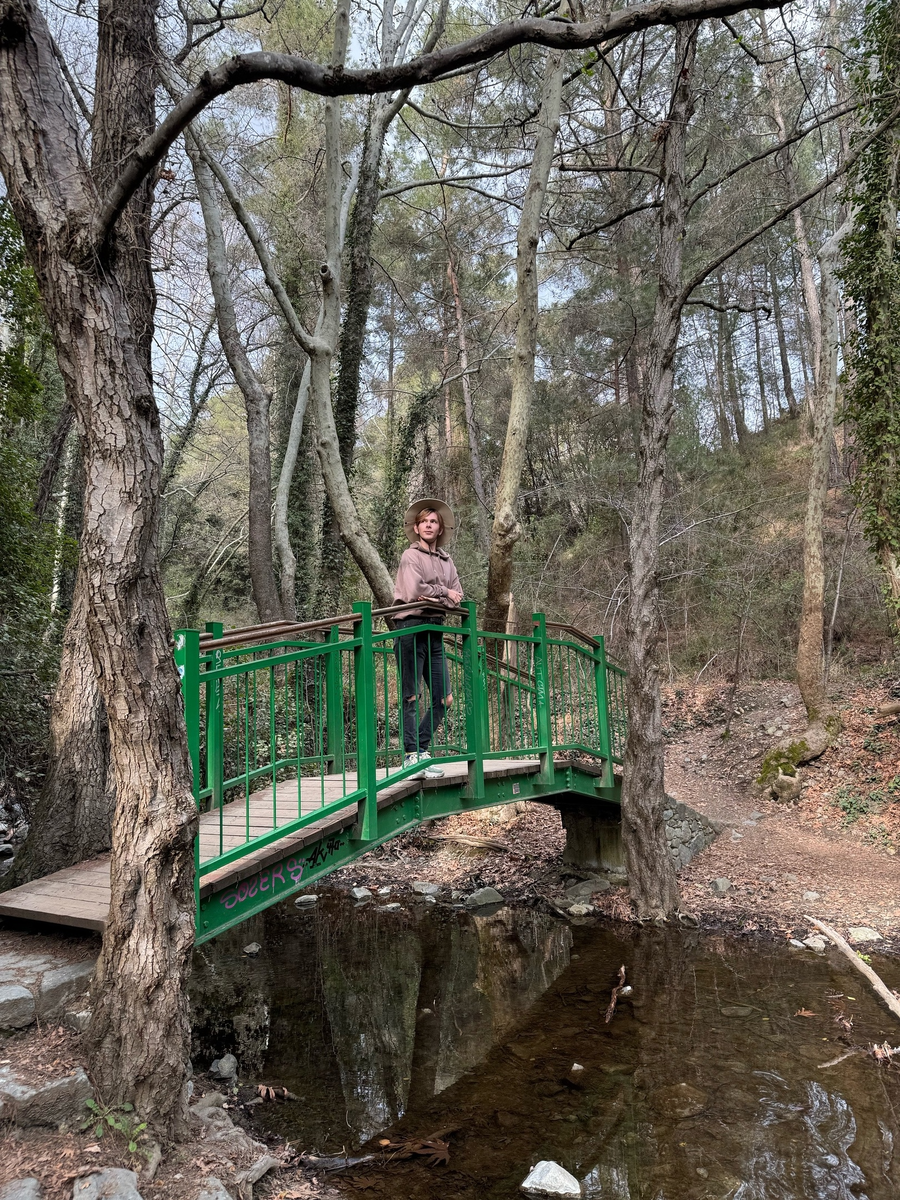 Предвижу комментарии - так поезжай жить в лес! Ахахах...а я уже тут